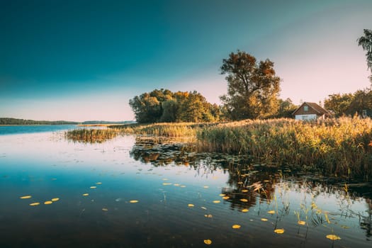 Summer Nature. Lake Or River In Beautiful Summer Sunny Day. Grass Growing On Coast. Sunny Day, Landscape With Lake And Old Small House On River Coast.