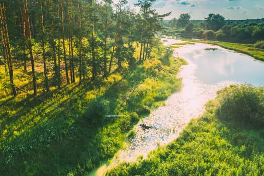 Belarus. Elevated View Of Green Small Bog Marsh Swamp Wetland And Green Pine Forest Landscape In Sunny Summer Day. High Attitude View. Forest Lane In Bird's Eye View.