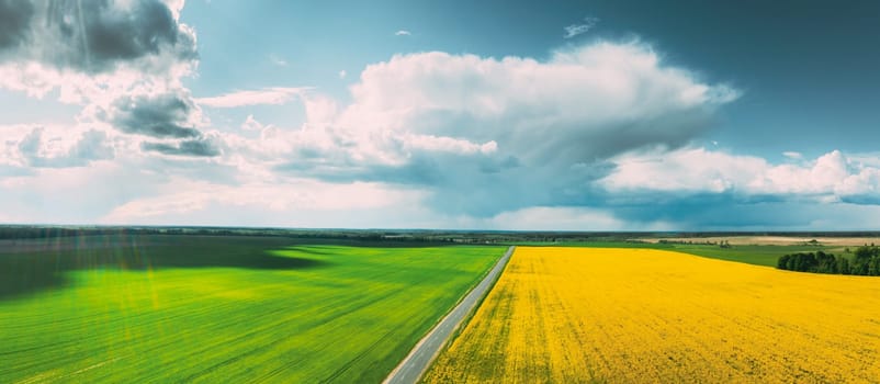Aerial View Of Agricultural Landscape With Flowering Blooming Rapeseed, Oilseed And Green Wheat In Field In Spring Season. Blossom Of Canola Yellow Flowers. Beautiful Rural Country Road.