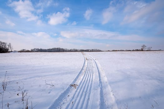 Tracks Into a Snowy Field in Moraine Hills State Park in Illinois