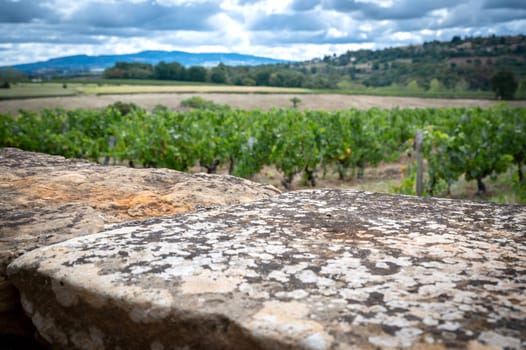 Beautiful landscape with an old stone wall for layers