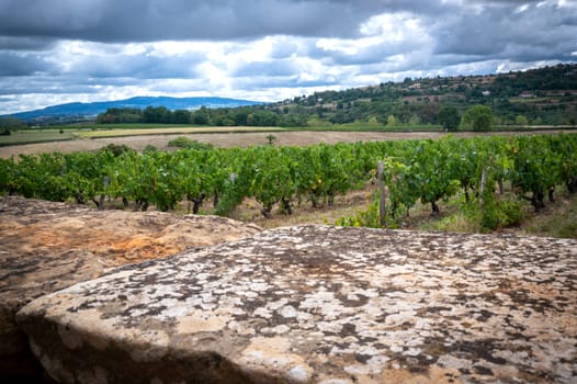 Beautiful landscape with an old stone wall for layers