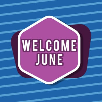 Conceptual caption Welcome June, Business overview Calendar Sixth Month Second Quarter Thirty days Greetings Blank Hexagon And Rectangular Shapes For Promotion Of Business.