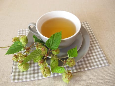 Hops tea, herbal tea with hop flowers