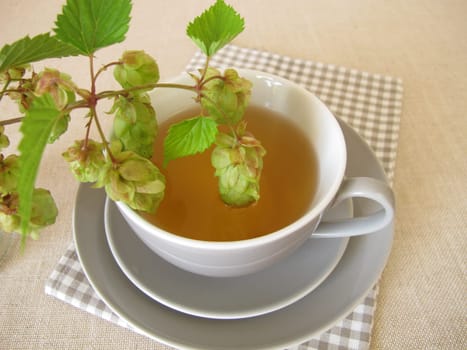 Hops tea, herbal tea with hop flowers