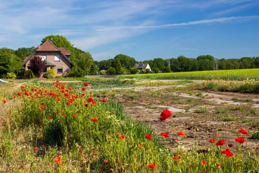 German countryside landscape, Lower Rhine Region