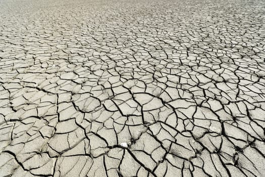 A dried up cracked bottom on a lake