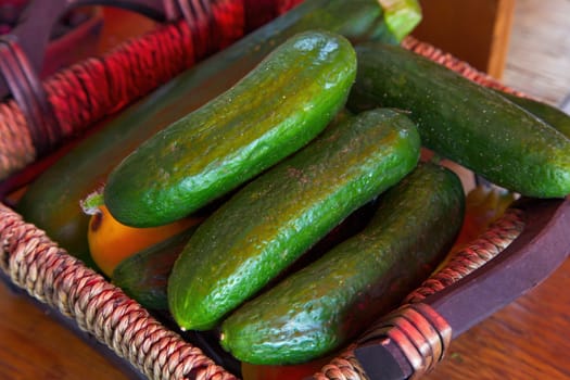 organic cucumbers at the market healthy eating fresh vegetables agriculture