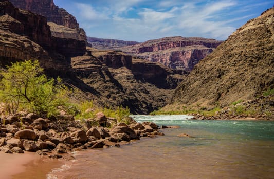 Colorado River Rapids in The Grand Canyon
