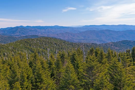 Smoky Mountains Panorama on a Sunny Day at Clingmans Dome in North Carolina