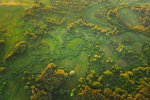 Aerial View Green Forest Woods park And Creek Stream Landscape In Summer Evening. Top View Of Beautiful European Nature From High Attitude. Drone View. Bird's Eye View.