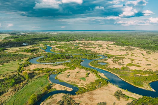 Aerial View Green Forest Woods And River Landscape In Sunny Summer Day. Top View Of Beautiful European Nature From High Attitude In Spring Season. Drone View. Bird's Eye View.
