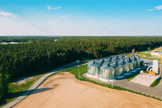 Aerial View Modern Granary, Grain-drying Complex, Commercial Grain Or Seed Silos In Sunny Spring Rural Landscape. Corn Dryer Silos, Inland Grain Terminal, Grain Elevators Standing In A Field.