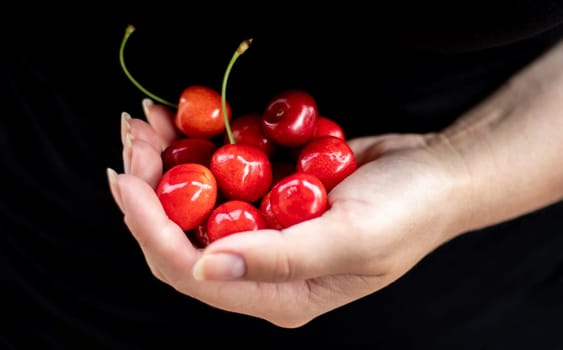 A handful of ripe cherries in hand, freshly picked from an organic garden. One hand holds a bunch of cherries. A girl holds a handful of cherries in the garden, on a summer day