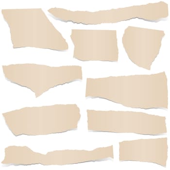 collection of brown colored scraps of papers with shadows