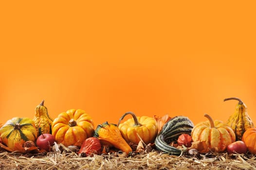 Thanksgiving - many different pumpkins on straw against an orange background with text space