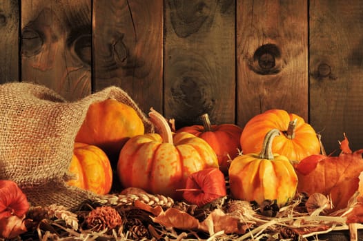 Thanksgiving – various pumpkins in jute sack on straw with text space in dark evening light