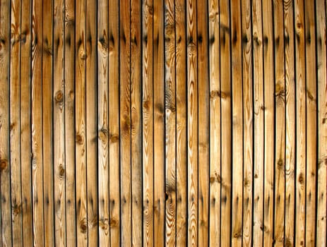 The Brown Wood Texture With Natural Patterns