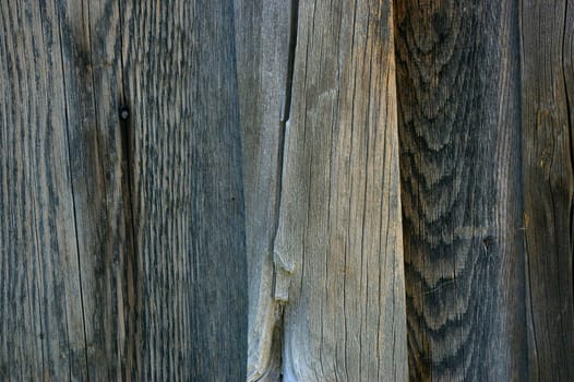 The Brown Wood Texture With Natural Patterns