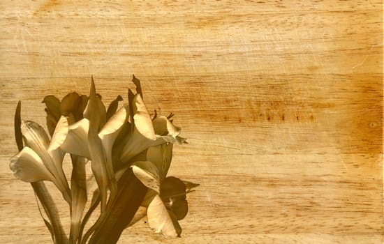 The beautiful floral background with wooden texture