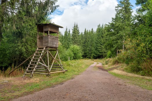Wooden Huntsman high seat at the edge of the forest in front of a meadow with green background