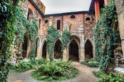 The Rosa Coeli monastery. Ancient catholic ruin of monastery near Dolni Kounice city. Religion gothic place with spiritual history builded from stone. Medieval and historical heritage. Czech Republic