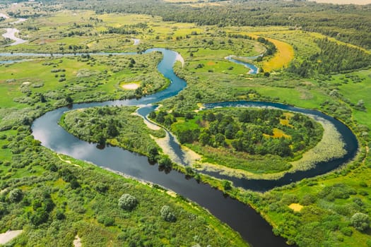 Aerial View Green Forest Woods And River Landscape In Sunny Spring Summer Day. Top View Of Beautiful European Nature From High Attitude In Autumn Season. Drone View. Bird's Eye View.
