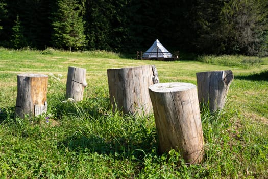 front view closeup of sitting wooden logs trunk in green grass outdoor camping meadow