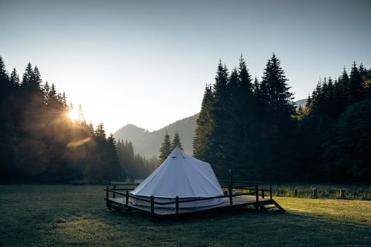 rear view of white glamping tent on wooden deck in green meadow surrounded by fir tree forest at sunrise