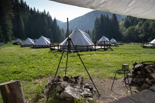 cooking area with fireplace and wooden logs in glamping tent camp site in green meadow surrounded by fir tree forest