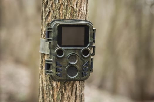 Wildlife monitoring camera trap attached to a tree by a strap in autumn forest. Game camera used for research of animal behavior with infrared illuminated fixed to a trunk in woodland.