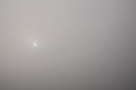 .Siluette of a tree in a foggy background.