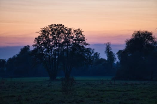 at dawn, mystical sunrise with a tree on the meadow in the mist. Warm colors from nature. Landscape photography in Brandenburg