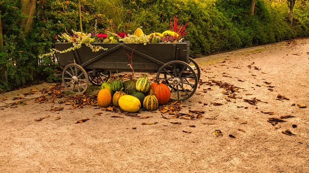 Autumn is harvest time for pumpkin and other vegetables. Decorated wooden cart. Colorful in autumnal stalk