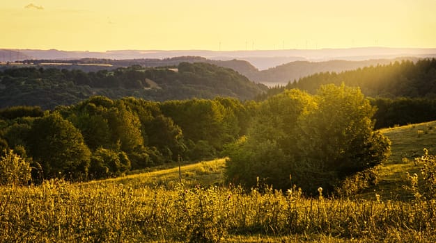 Sunset in Saarland on a meadow with trees and view into the valley. a warm light mood in orange, red and gold