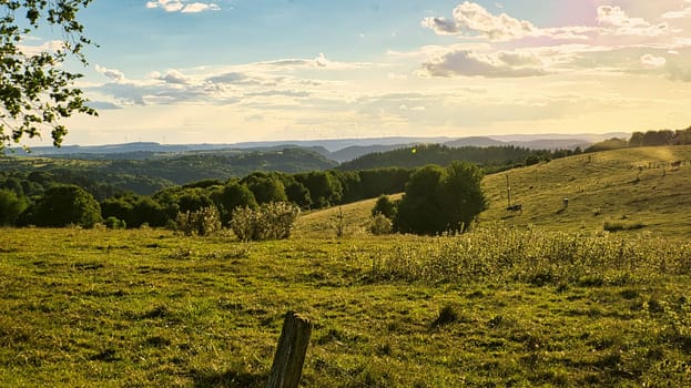 A sunny day in Saarland with a view over meadows into the valley. Some sunny clouds in the sky and cows grazing. A moment to linger, rest and enjoy