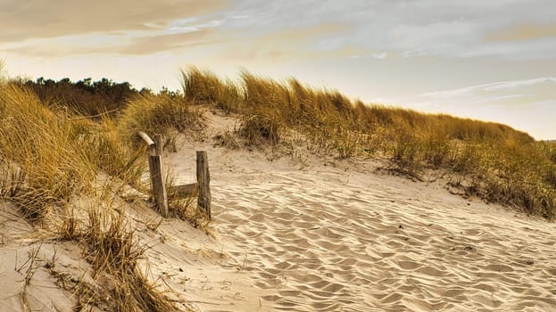 on the beach of the Baltic Sea a beach crossing over the dunes. Walking on the beach on the Darß in Zingst