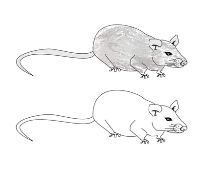 cartoon rat doodle