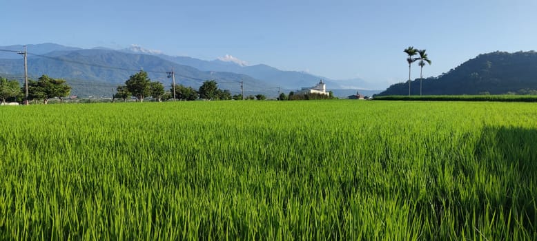 No. 193 Road, Huadong Lungu- Aug 29, 2022 : View of the mountains at Luye highland, Taitung