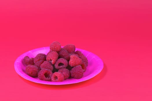 raspberry fruits in pink plate sweet food delicious fresh organic tasty berries