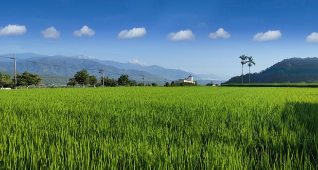 No. 193 Road, Huadong Lungu- Aug 29, 2022 : View of the mountains at Luye highland, Taitung