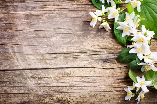 Beautiful spring flower border on rustic wooden background with copyspace. White jasmine bouquet arrangement for wedding decoration.