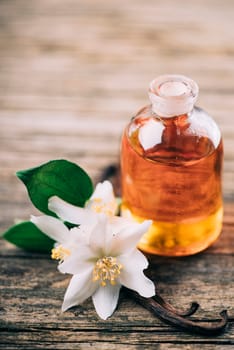 Essential oil with jasmine flower and vanilla. Aromatherapy massage oil on rustic wooden background.