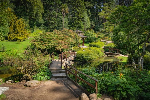 Japanese style garden with ponds, footpaths, small wooden bridges and lush green vegetation in Powerscourt gardens, Enniskerry, Wicklow, Ireland