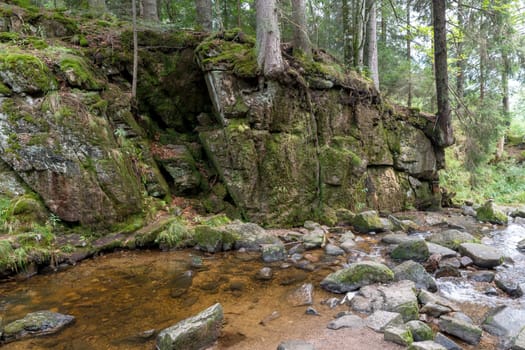 Waterfall in the Black Forest, Germany, with trees, rocks and ferns