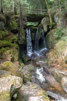Waterfall in the Black Forest, Germany, with trees, rocks and ferns