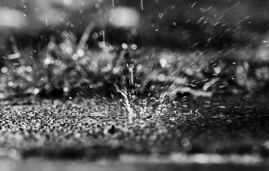 In heavy rain, large drops fall splashing on the ground in black an whtie
