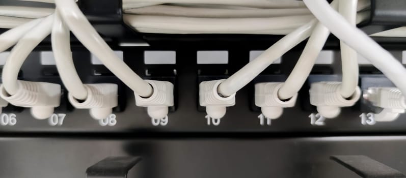 Ethernet Switch device full of wires. Closeup