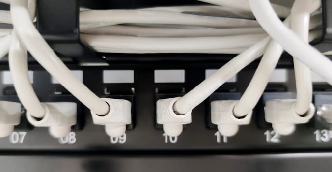 Ethernet Switch device full of wires. Closeup