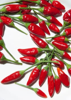 Plate with piri-piri chili pepper. Studio shot with natural light. Wooden background
